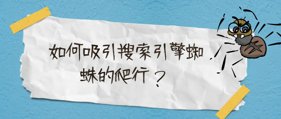 新站优化如何吸引搜索引擎蜘蛛的爬行？-北冥博客